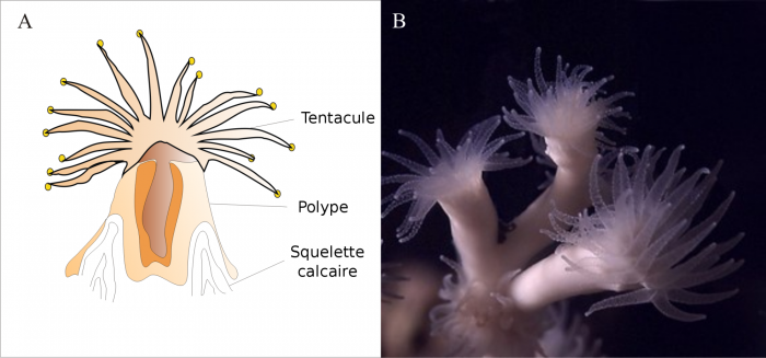 actualite scientifique